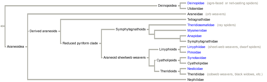 taxon links