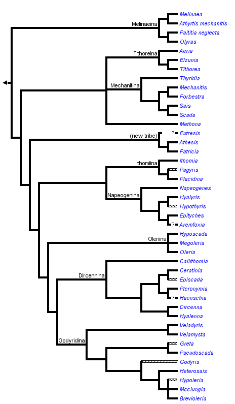 taxon links