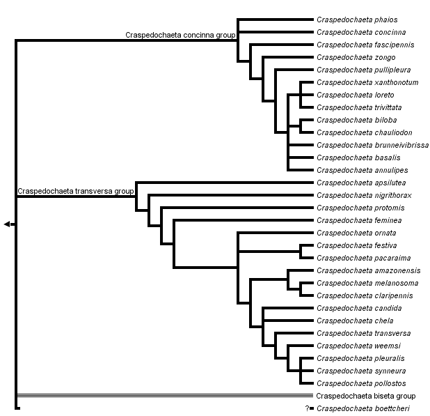 taxon links