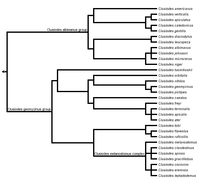 taxon links