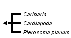 taxon links