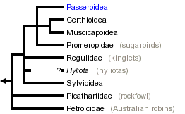 taxon links