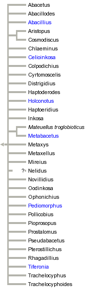 taxon links