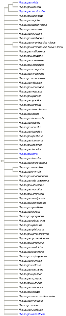 taxon links