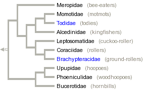 taxon links