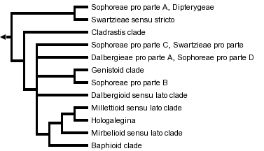 taxon links