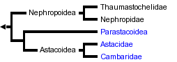 taxon links