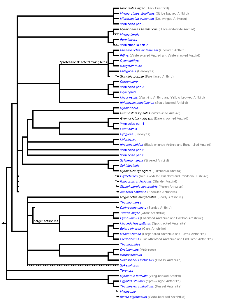 taxon links