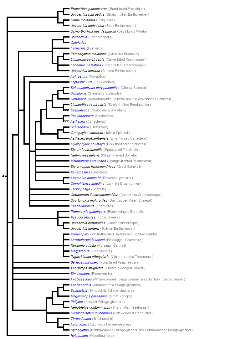 taxon links