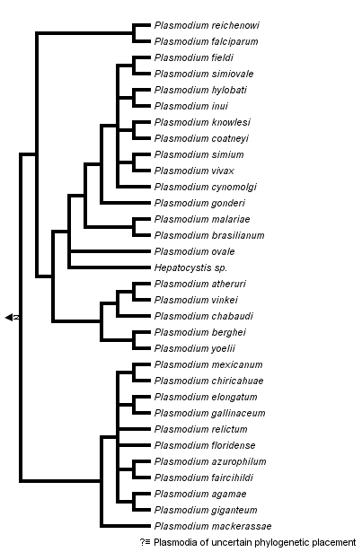 taxon links