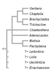 taxon links