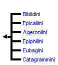 taxon links