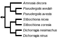 taxon links