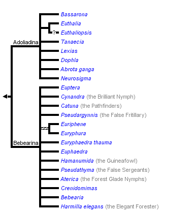 taxon links