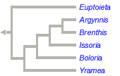 taxon links