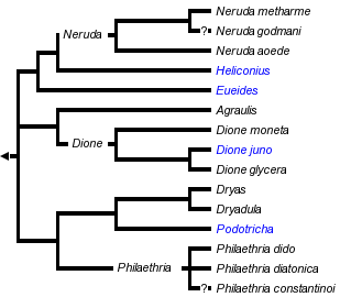 taxon links