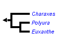 taxon links