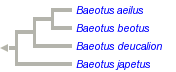 taxon links