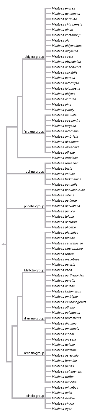 taxon links