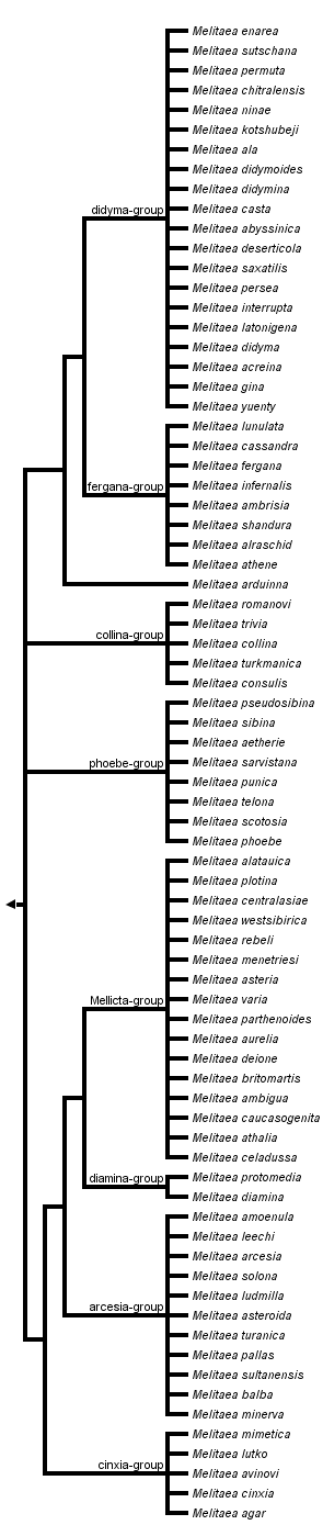 taxon links