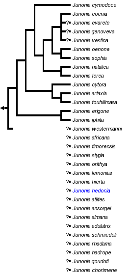 taxon links