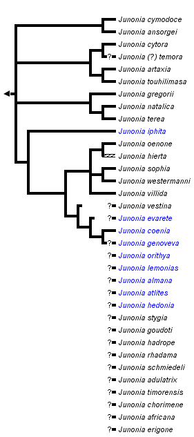 taxon links