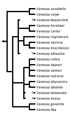 taxon links