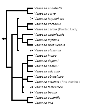 taxon links