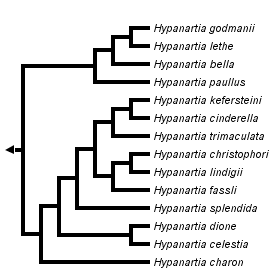 taxon links