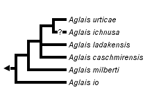 taxon links