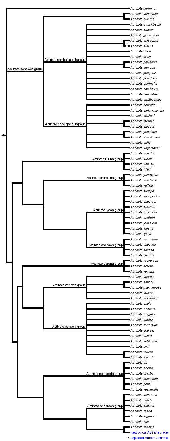 taxon links
