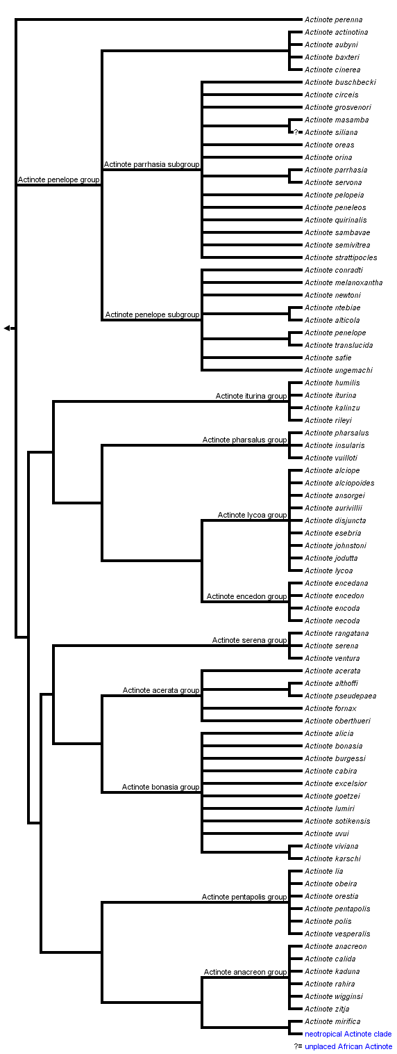 taxon links