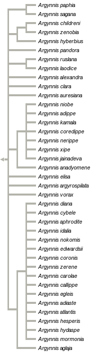 taxon links