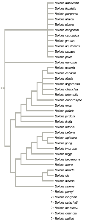 taxon links