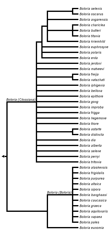 taxon links