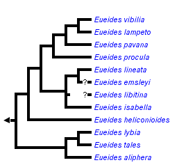 taxon links