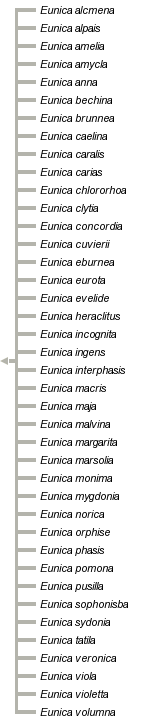 taxon links