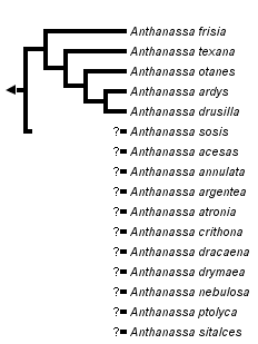 taxon links