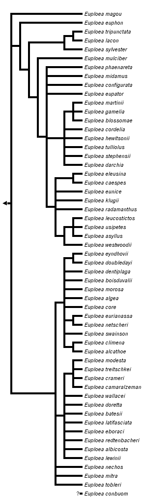 taxon links