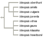taxon links