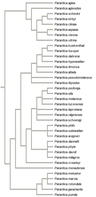 taxon links