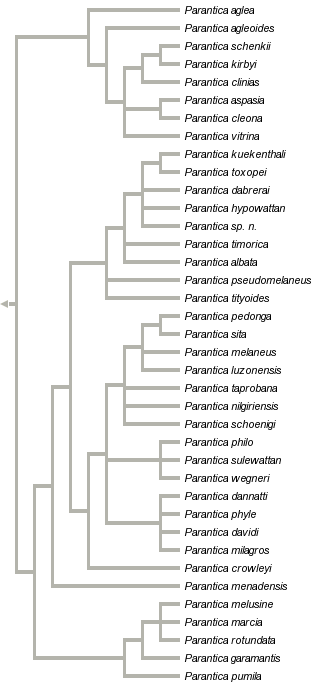 taxon links