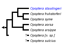 taxon links