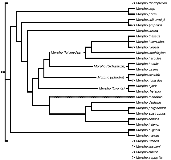 taxon links