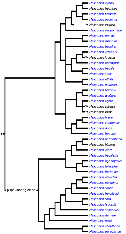 taxon links