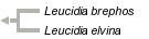 taxon links