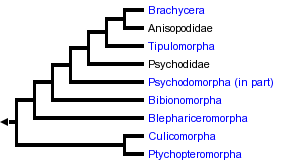 taxon links