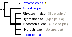 taxon links