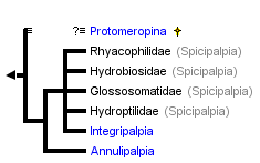 taxon links