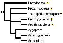 taxon links